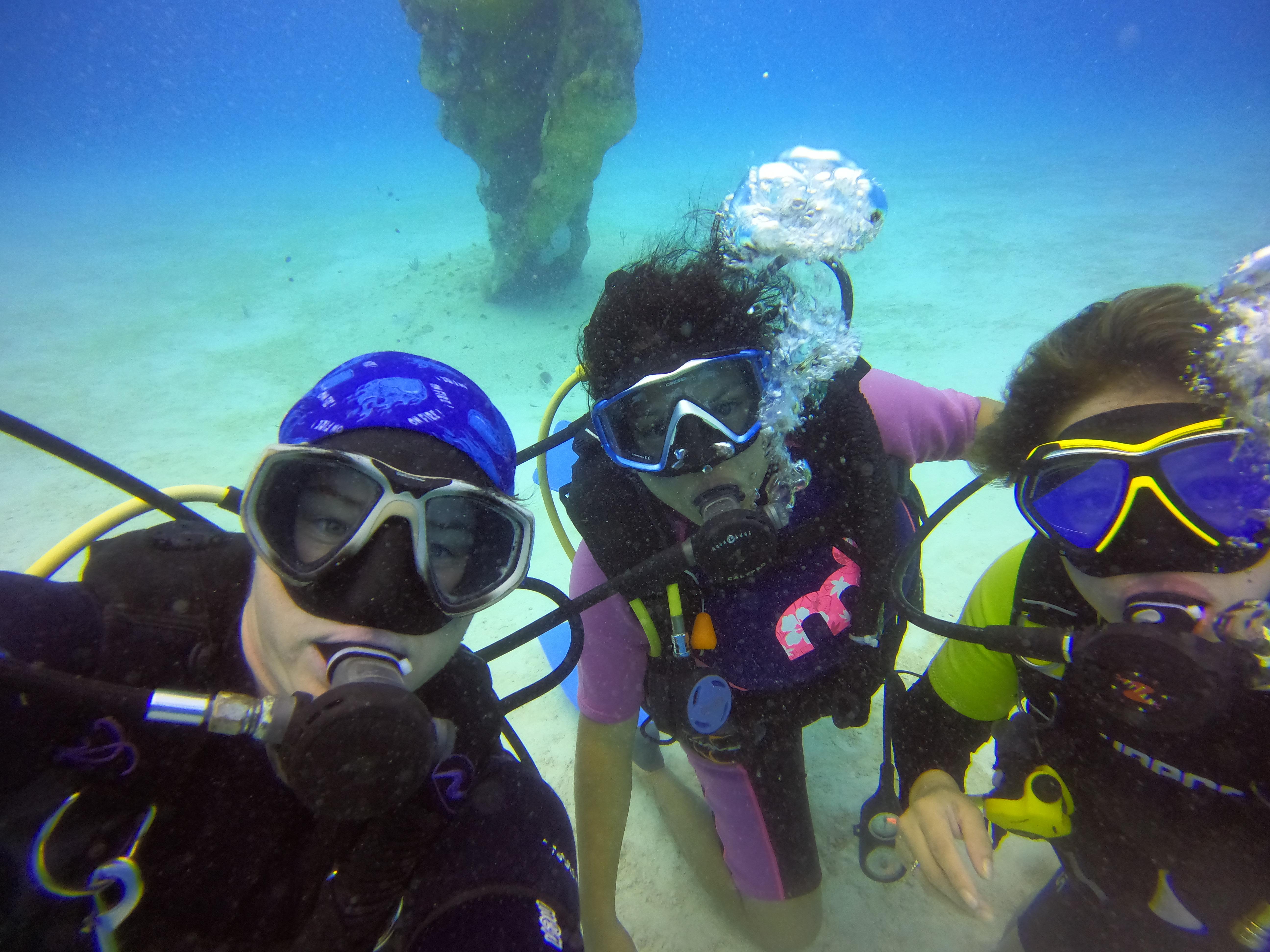 A. C. Divers