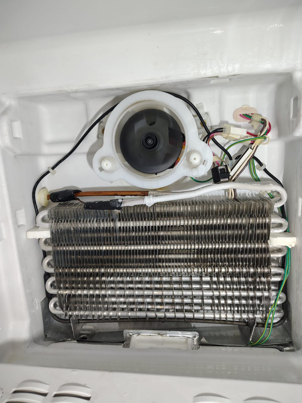 Same-Day Reparación de Electrodomésticos